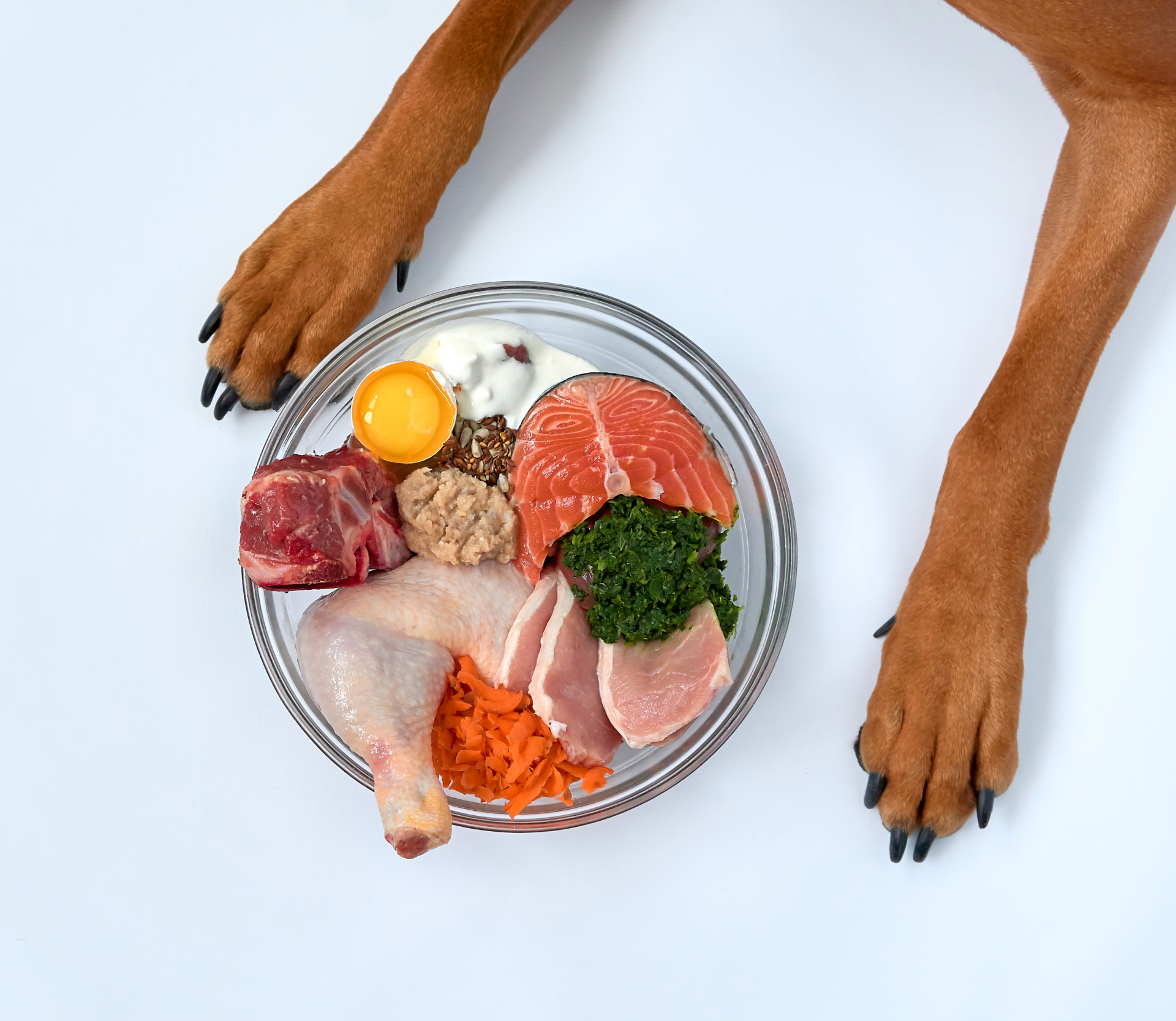 Prirodni-krmiva-pro-psy