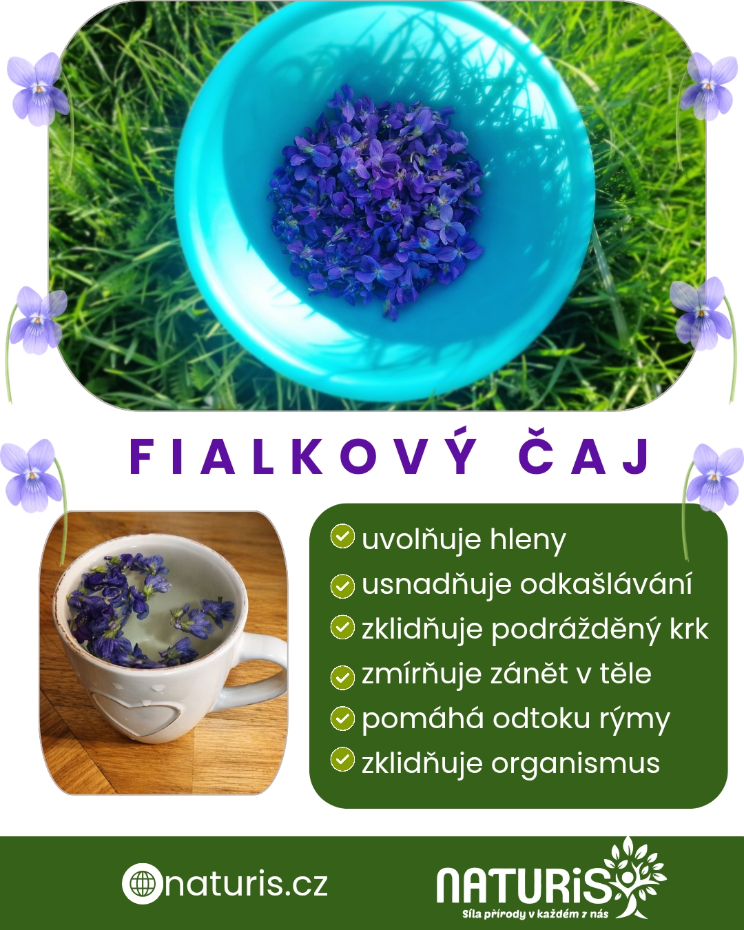 fialkovy-caj-banner.jpg