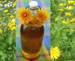 Pampeliškový sirup