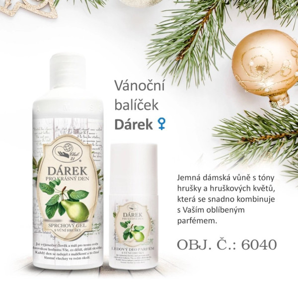 Vánoční balíček Dárek (6)