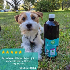 Konopný olej pro zvířata - za studena lisovaný - 1000 ml (7)